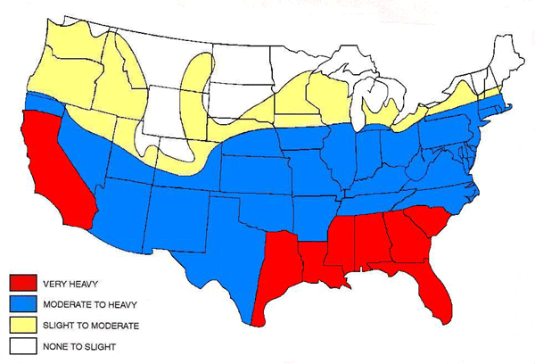 US Termite Risk Map Source: NPMA
